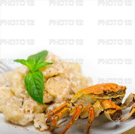 Fresh homemade Italian gnocchi with seafood sauce crab and basil