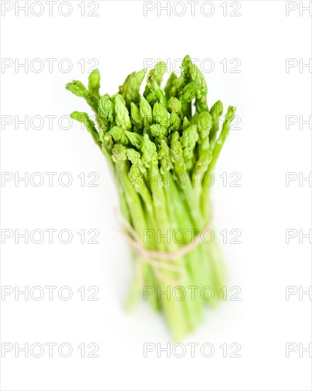 Fresh asparagus from the garden over white background