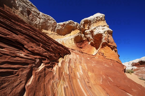 White Pocket Canyon