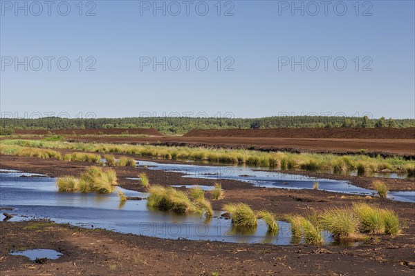 Peat extraction at Totes Moor