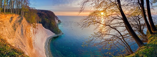 Beech trees on edge of eroded white chalk cliff in Jasmund National Park on Rugen Island in the Baltic Sea