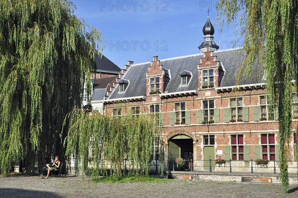 Weeping willows at the Lievekaai