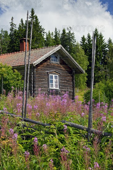 Traditional old wooden cottages