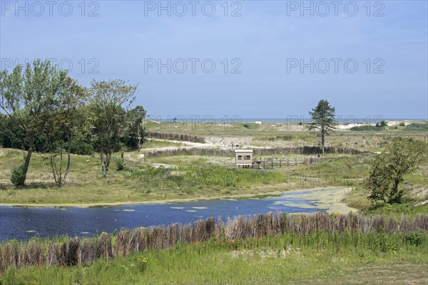 View over birdhide at pond in the Zwin Nature Park