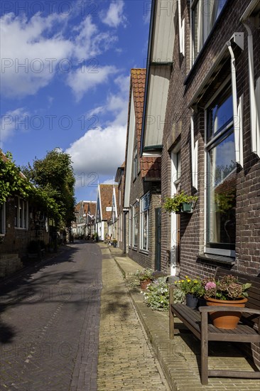 Lane in Oosterend