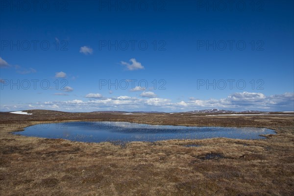 Pond in moorland at the Flatruet plateau