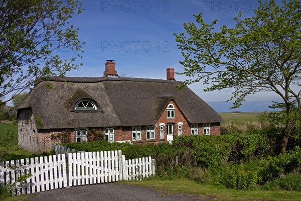 Frisian traditional house with straw-thatched roof at Eiderstedt Peninsula