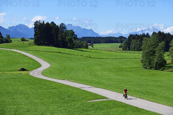 Cyclist on the Romantic Road near Steingaden