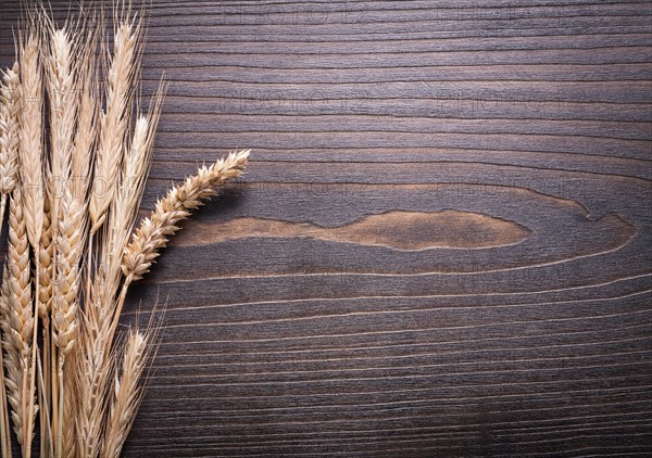 Copy space image of wheat rye ears on wooden background food and drink concept
