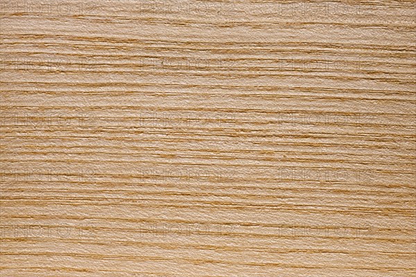 Wood grain of European Ash