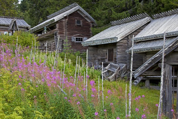 Traditional old wooden cottages