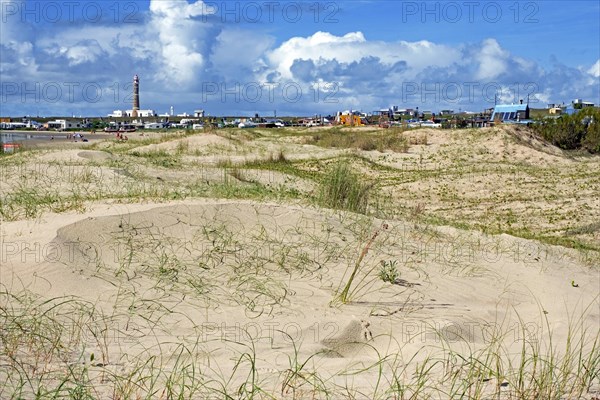 View over the sand dunes