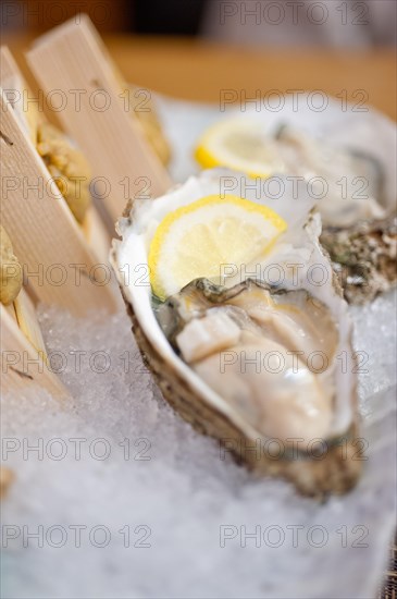 Japanese style oyster and sea urchin laid over crushed ice