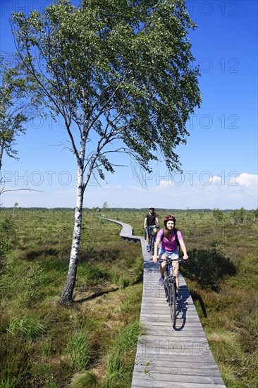 Cyclists on the Aukstumala Cognitive Path