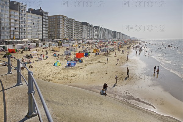 Sunbathers in summer sunbathing behind parasols and windbreaks on beach along the North Sea coast at Belgian seaside resort