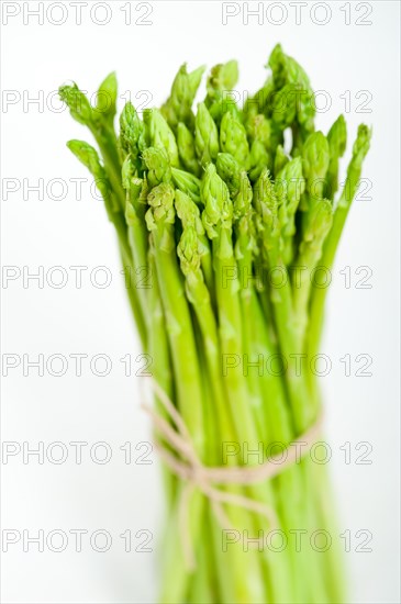 Fresh asparagus from the garden over white background