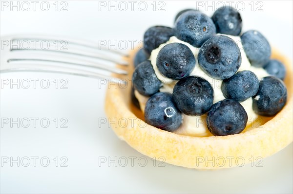 Fresh blueberry cream cupcake homemade closeup macro