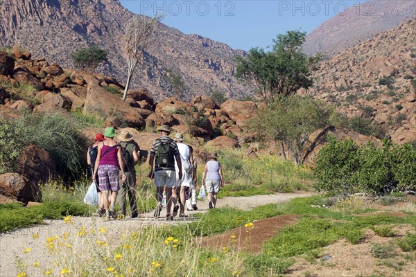 Elderly tourists on excursion hiking along trail at Brandberg Mountain