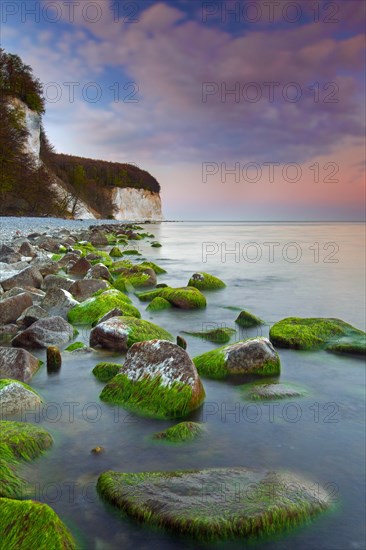 Eroded white chalk cliffs and pebble beach in Jasmund National Park on Rugen Island in the Baltic Sea