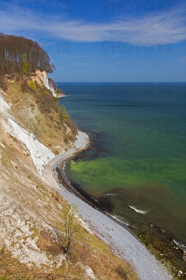 Eroded white chalk cliffs and pebble beach in Jasmund National Park on Rugen Island in the Baltic Sea