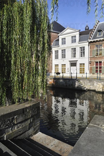 Weeping willows at the Lievekaai