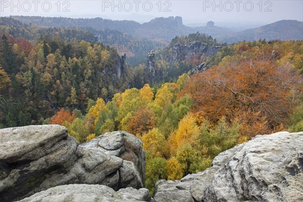 View from Carolafelsen to the Grosser Dom