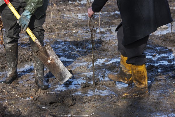 Nature conservationists planting tree on waste land