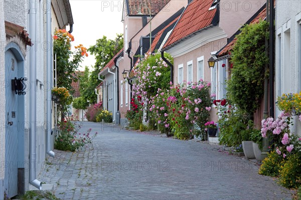 Traditional houses in street of the Hanseatic town Visby