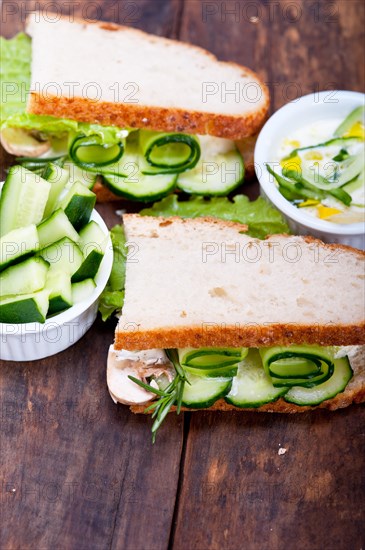 Fresh vegetarian sandwich with garlic cheese dip salad on rustic table