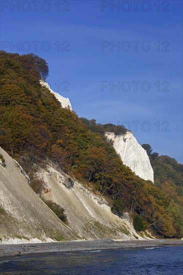 Chalk cliffs at Koenigsstuhl