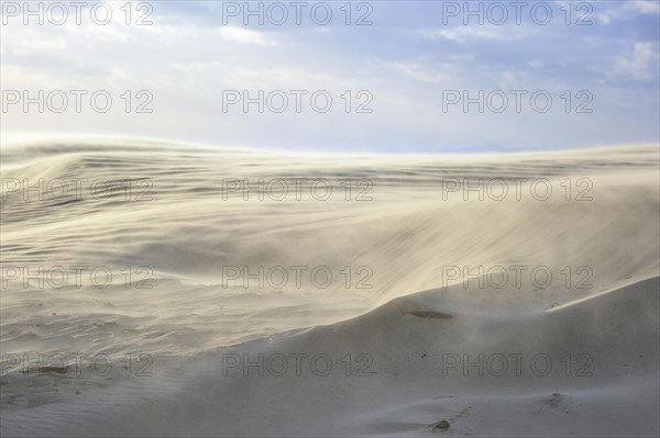 Shifting sands blown up by the wind on beach along the North Sea during winter storm