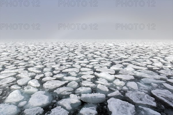 Drift ice