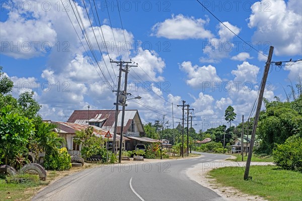 Country road winding through the village Groningen in the Saramacca District