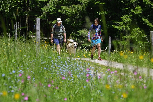 Herb hiking guide