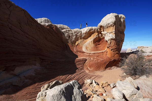 Hiker in White Pocket Canyon