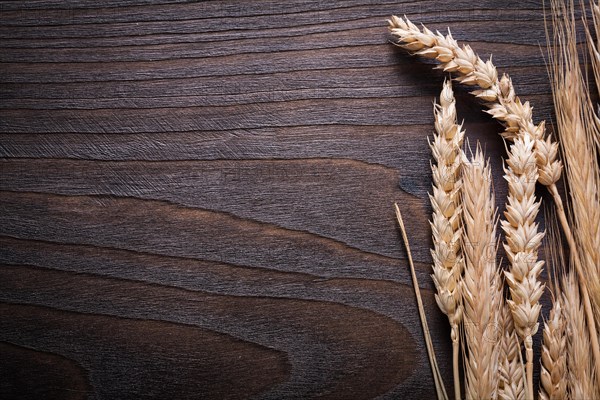 Horizontal view of wheat rye ears on wooden vintage board food and drink concept