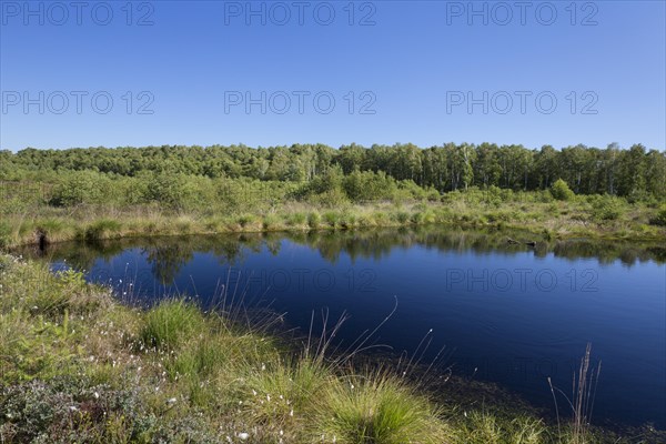 Lake in nature reserve Totes Moor