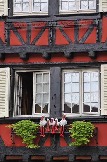 Storks on colorful facade of timber framed house at Colmar