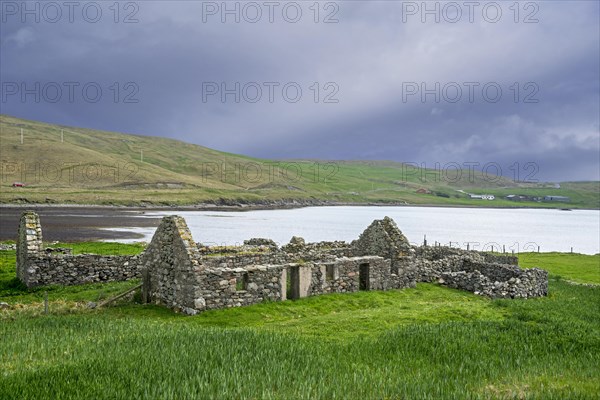 Remains of croft