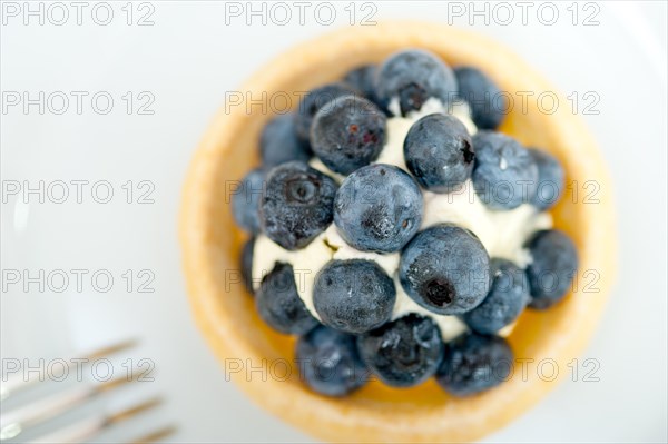 Fresh blueberry cream cupcake homemade closeup macro