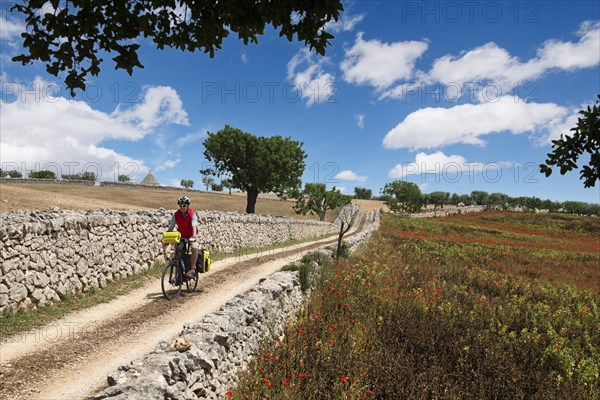 Cyclist on a side road between Noci and Alberobello