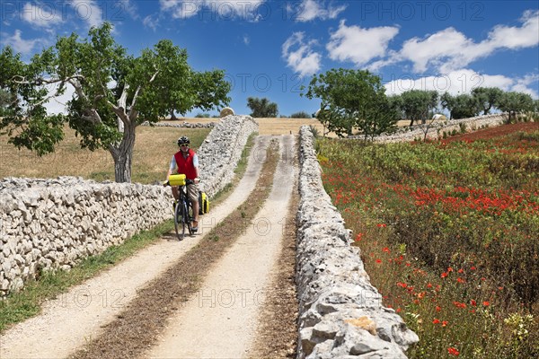 Cyclist on a side road between Noci and Alberobello