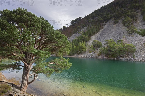 An Lochan Uaine