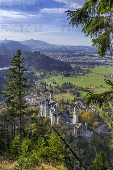 Neuschwanstein Castle in autumn