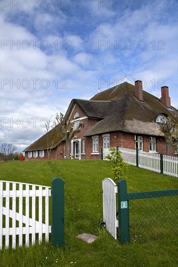 Traditional North-frisian farmhouse with thatched roof at Eiderstedt Peninsula