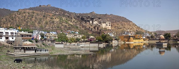 View over the old town Bundi