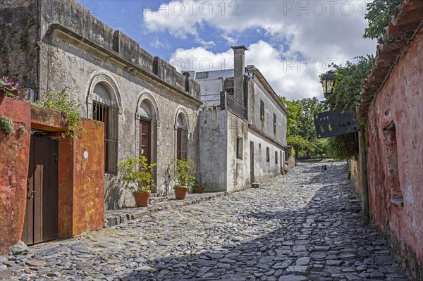 Cobbled street and colonial houses in the Barrio Historico