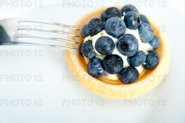 Fresh blueberry cream cupcake homemade closeup macro