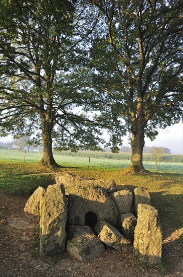 Dolmen d'Oppagne