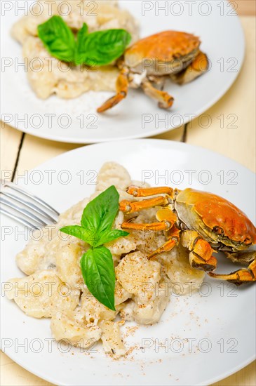 Fresh homemade Italian gnocchi with seafood sauce crab and basil